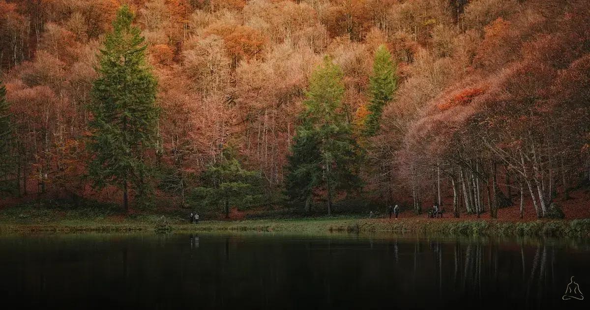 Métodos de Meditação para Melhorar sua Resiliência Emocional