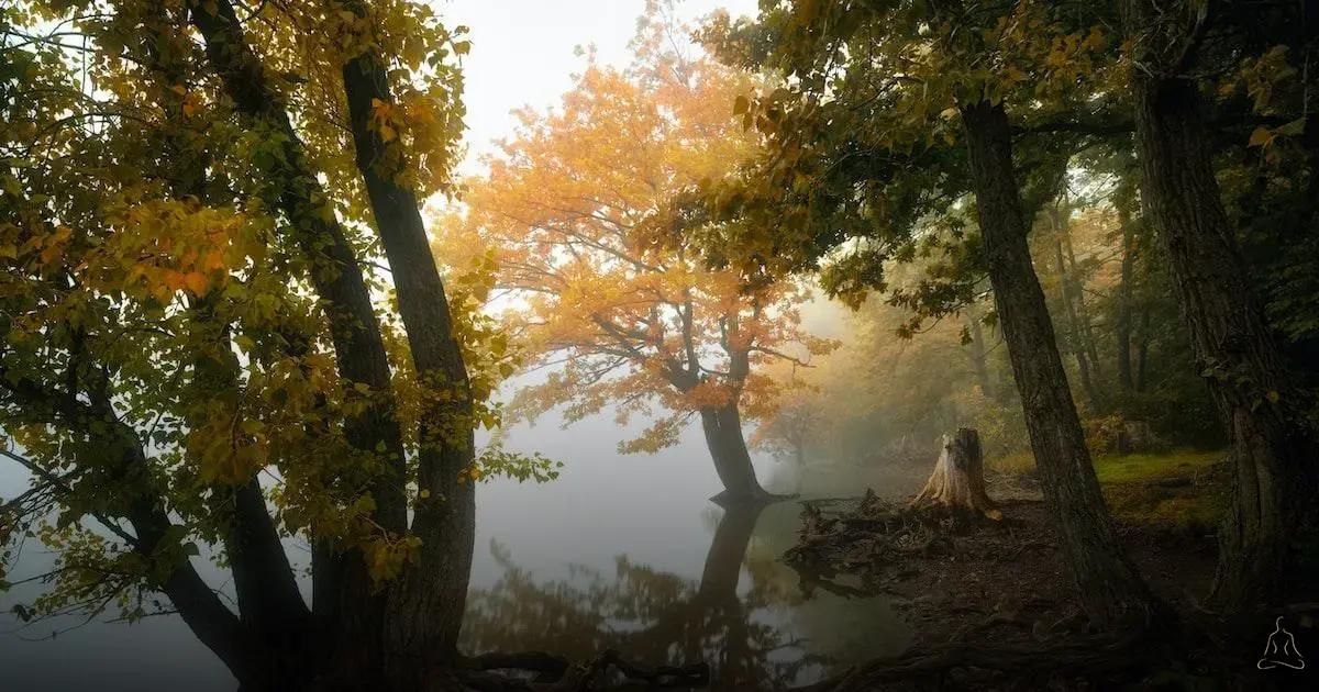 Práticas de Meditação Guiada para Fortalecer a Empatia