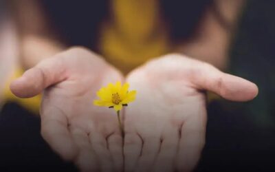 A essência da meditação: descubra os benefícios para a mente