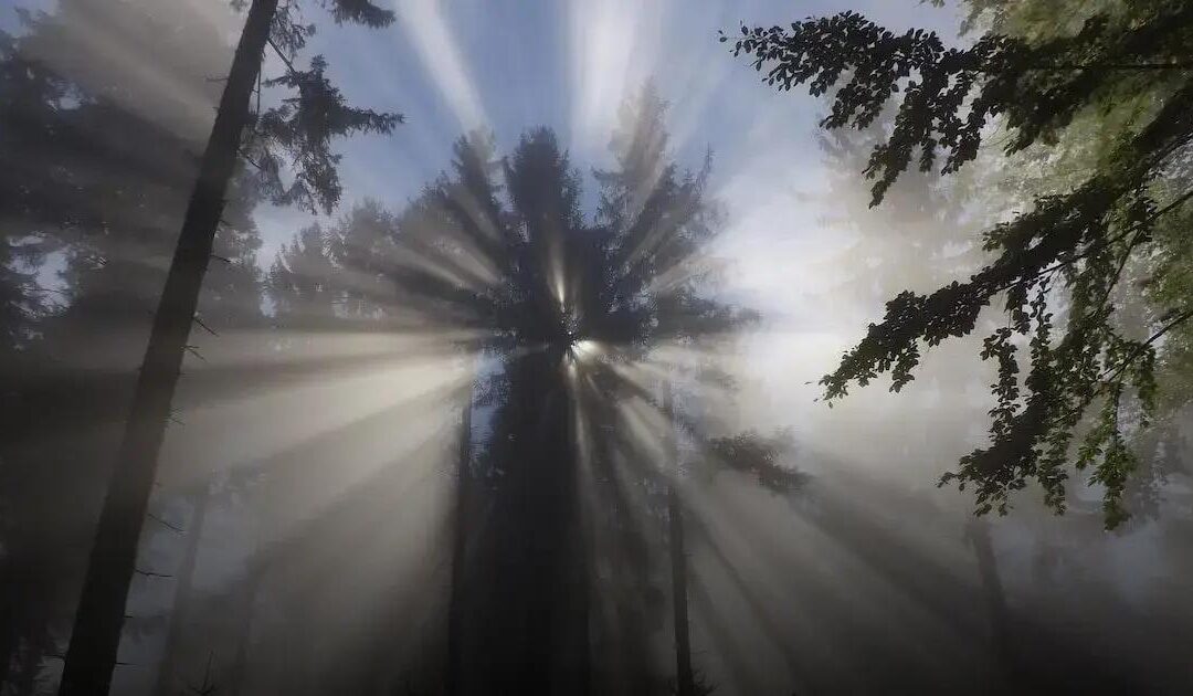 Noites de Plenitude: Meditação para Dormir em Tranquilidade – Descubra o segredo para uma noite de sono tranquila