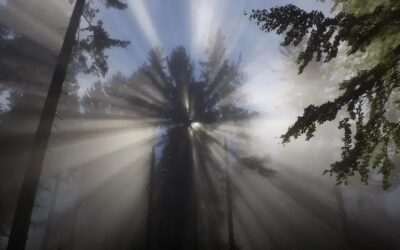 Noites de Plenitude: Meditação para Dormir em Tranquilidade – Descubra o segredo para uma noite de sono tranquila